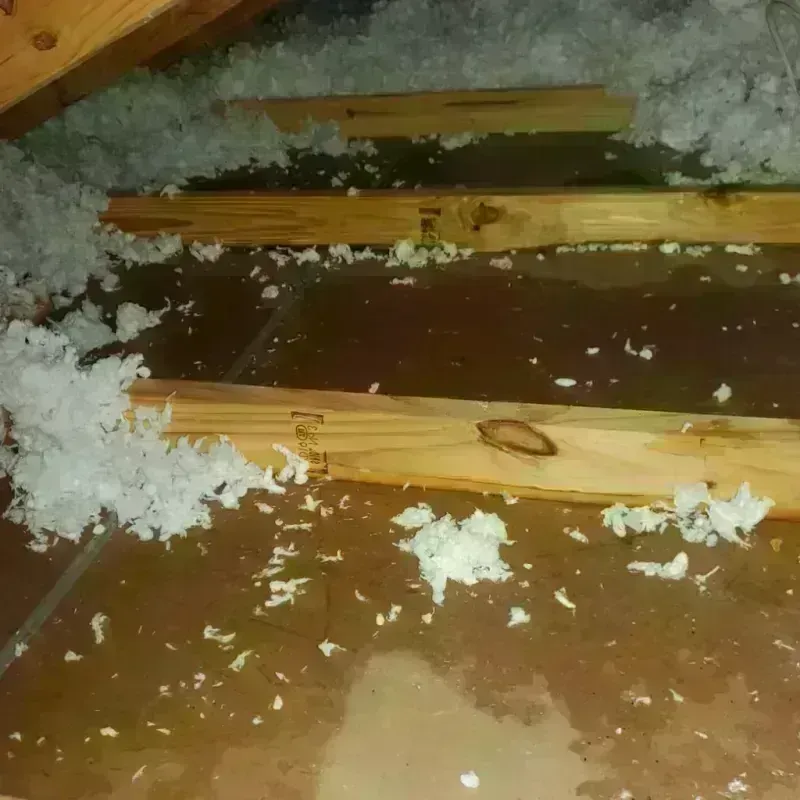 Attic Water Damage in Raymond, MS