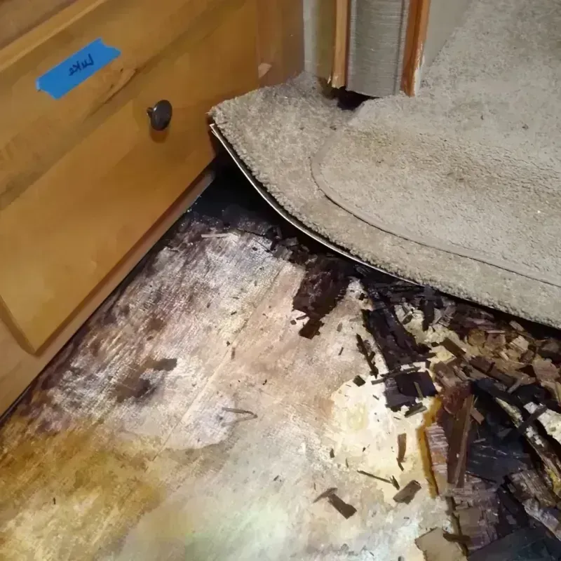 Wood Floor Water Damage in Raymond, MS